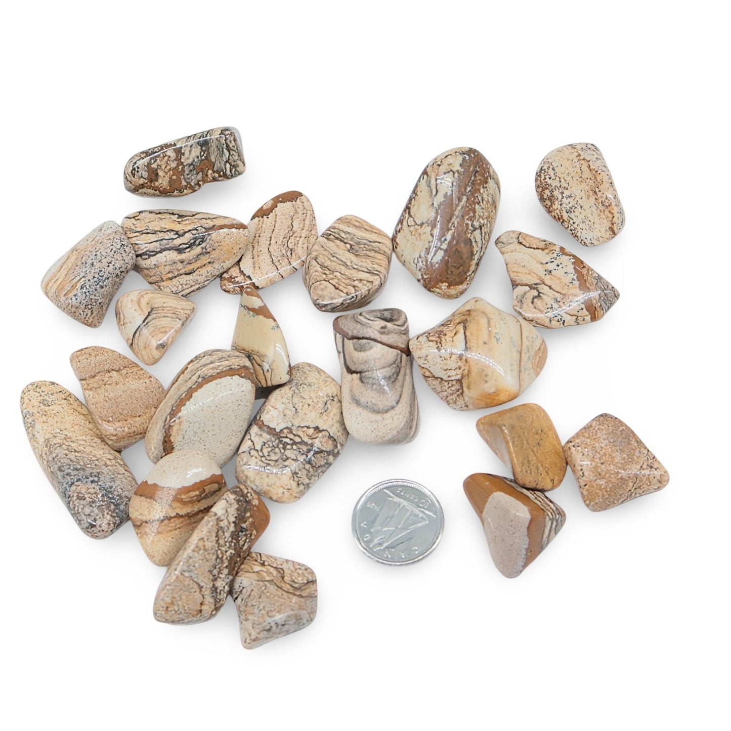 Stone - Picture Jasper - Tumbled