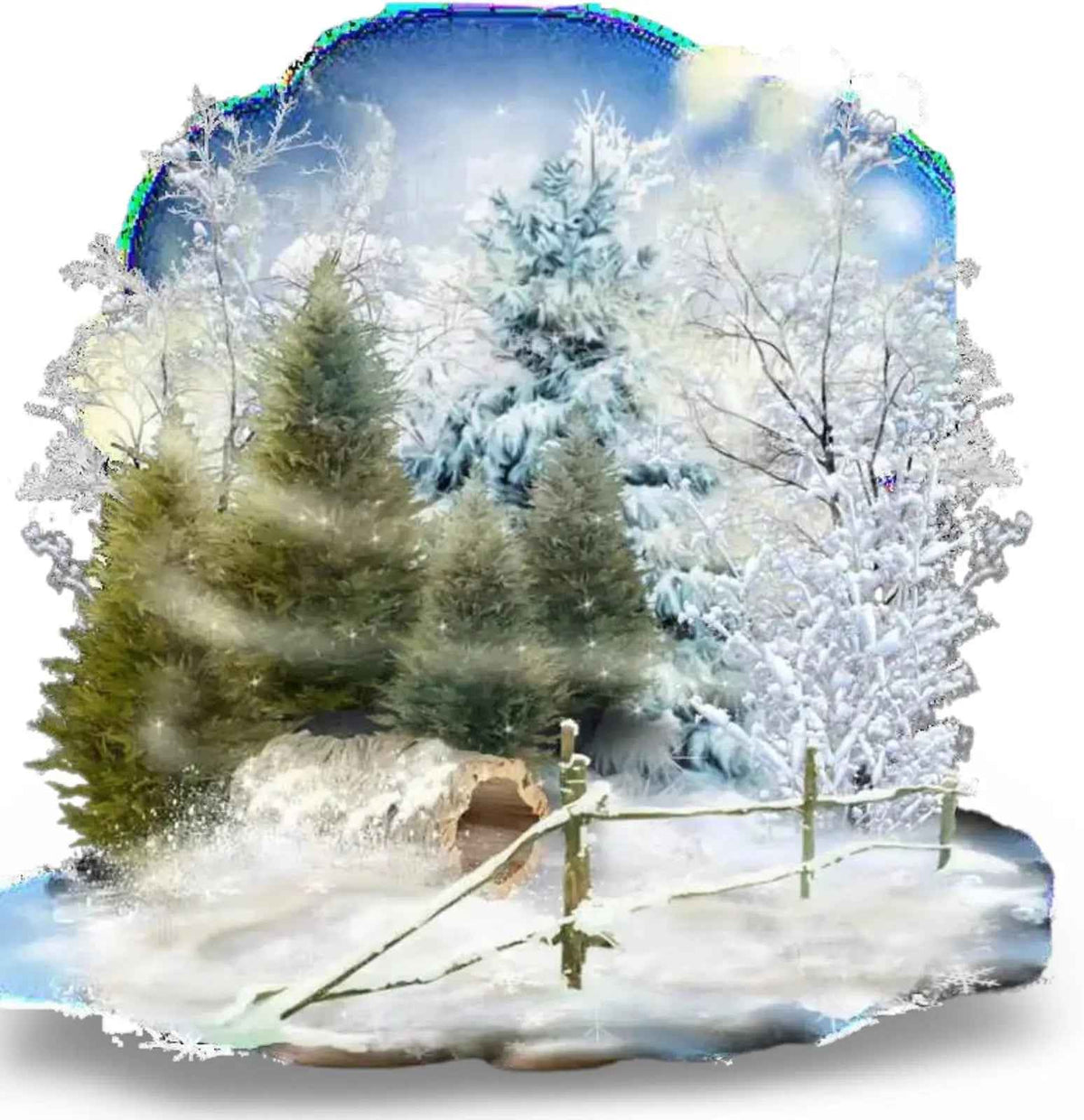 Essential Oil - Premium Collection - Winter - Cayve's Mystic Nature Wholesale
