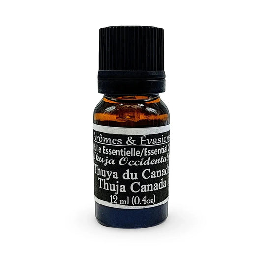 Essential Oil - Thuja Canada (Thuja Occidentalis) 12 ml