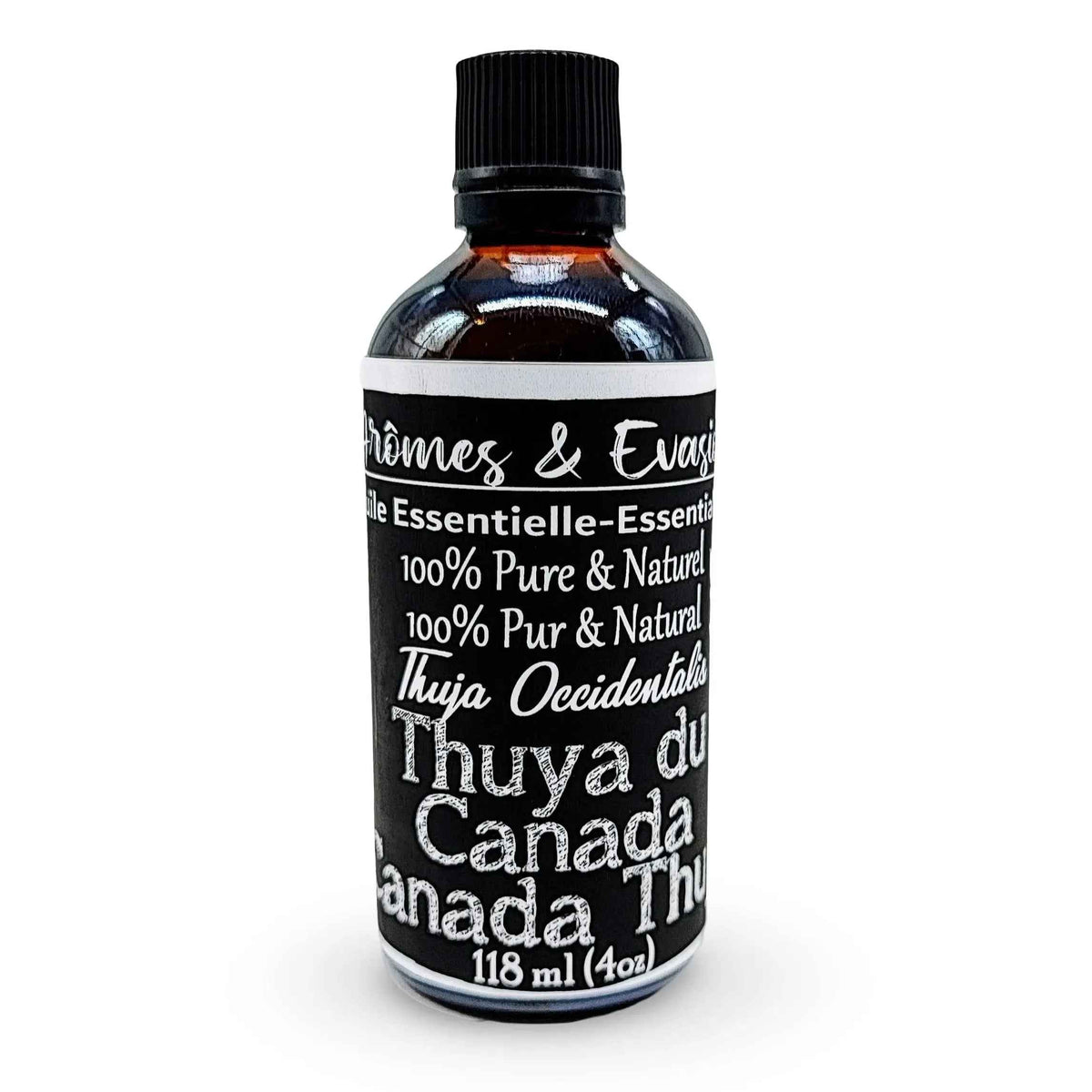 Essential Oil - Thuja Canada (Thuja Occidentalis) - Cayve's Mystic Nature Wholesale