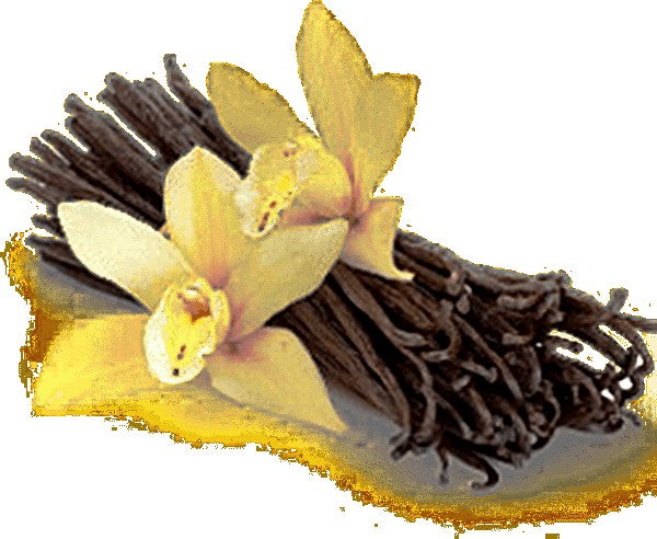 Fragrance Oil - Vanilla