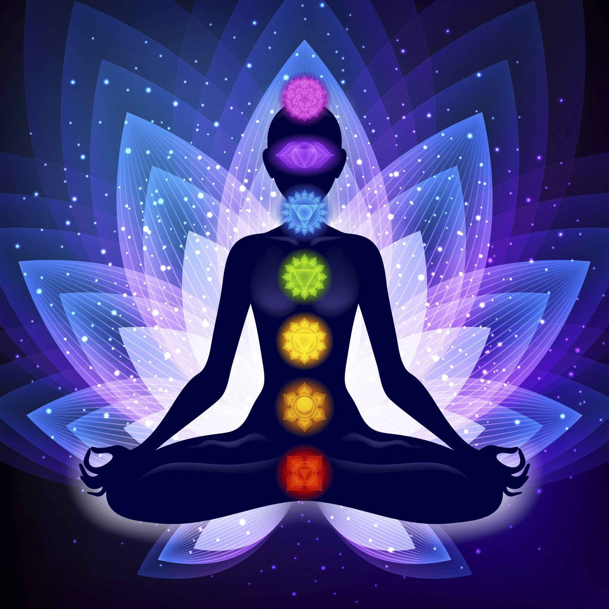 Fragrance Oil - Premium Collection - 7 Chakras - Cayve's Mystic Nature Wholesale