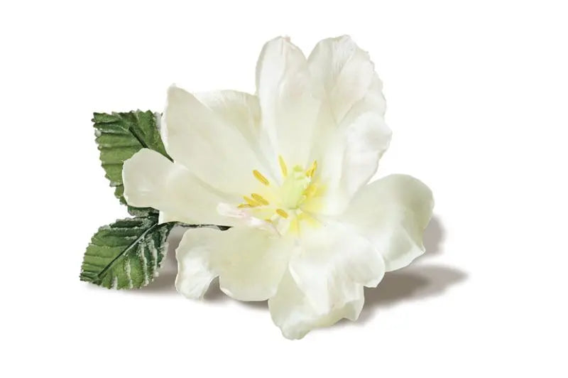 Fragrance Oil - White Musk