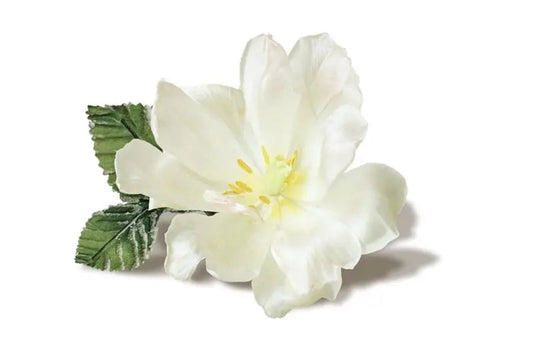 Fragrance Oil - White Musk