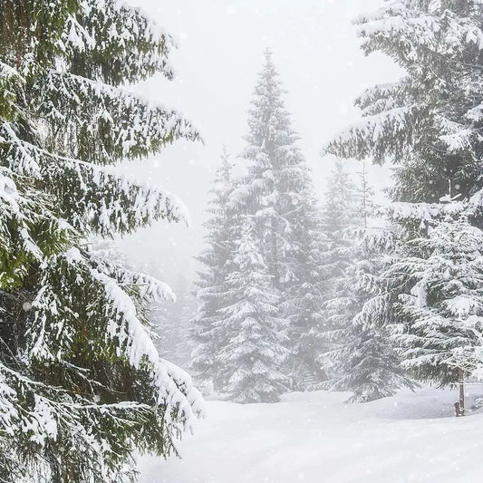 Fragrance Oil - Winter Storm