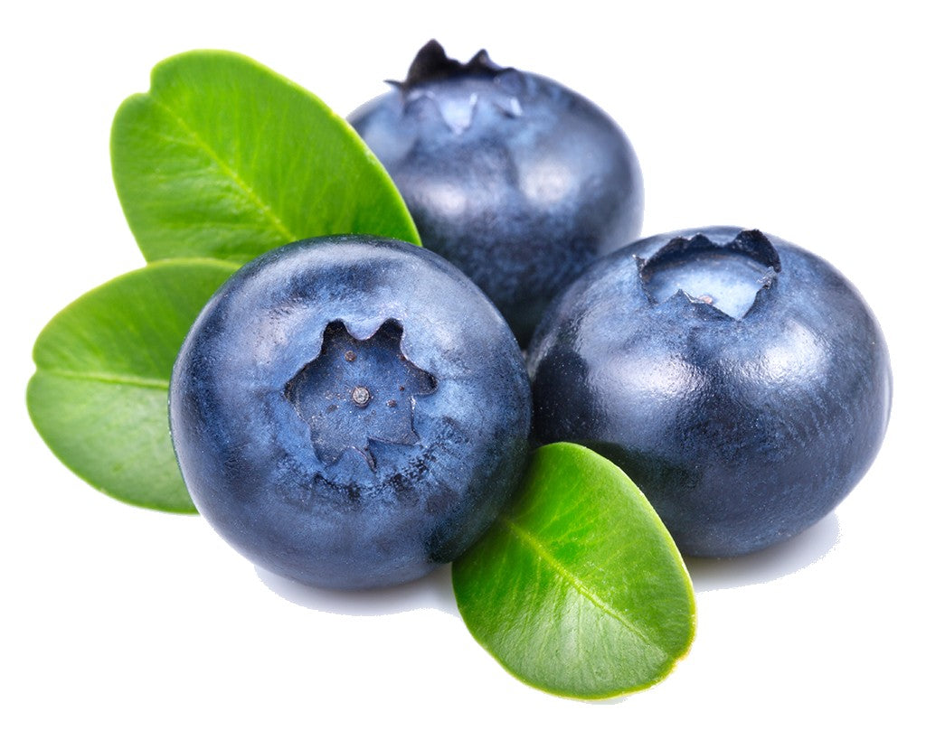 Incense Sticks - Blueberry - Pack of 10