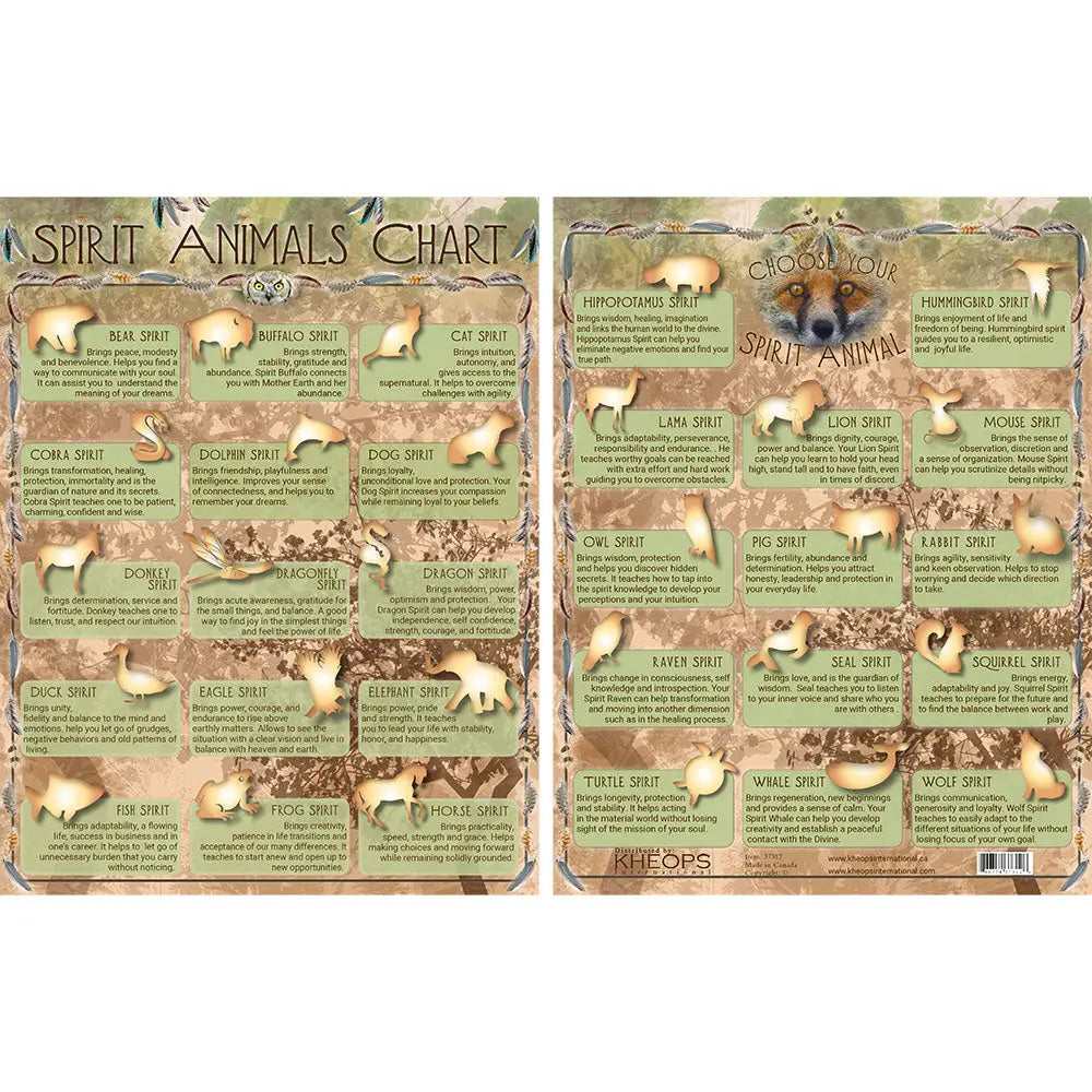 Laminated Descriptive Charts - Spirit Animals