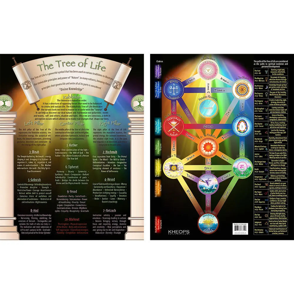 Laminated Descriptive Charts - Tree of Life - -Arômes & Évasions