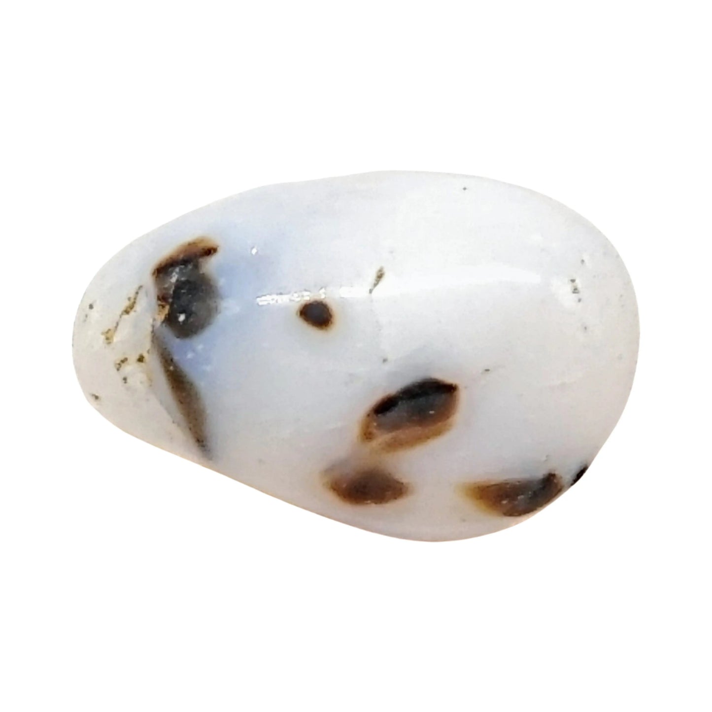 Stone -Opal -Tumbled -Small -Small -Aromes Evasions