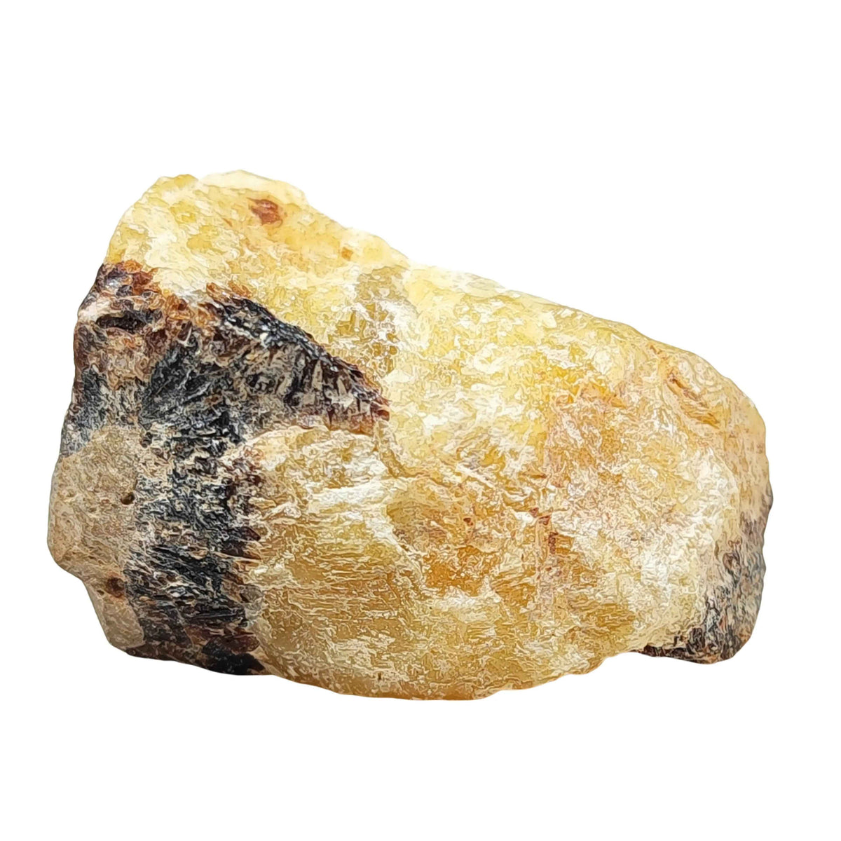 Stone -Septaria -Rough -Extra Large - Cayve's Mystic Nature Wholesale