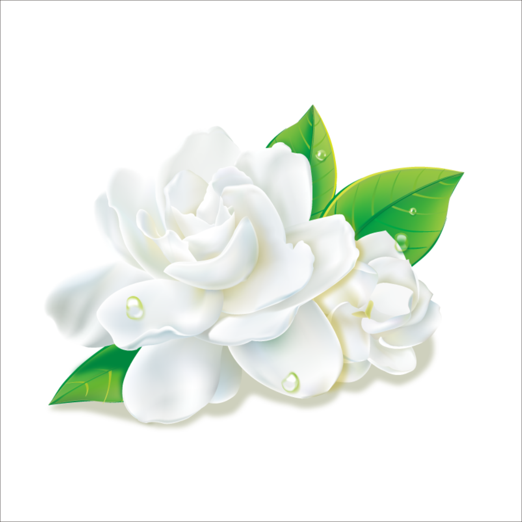 Incense - Backflow Cones - Jasmine - 8 Cones