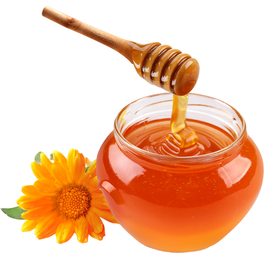 Fragrance Oil - Honey