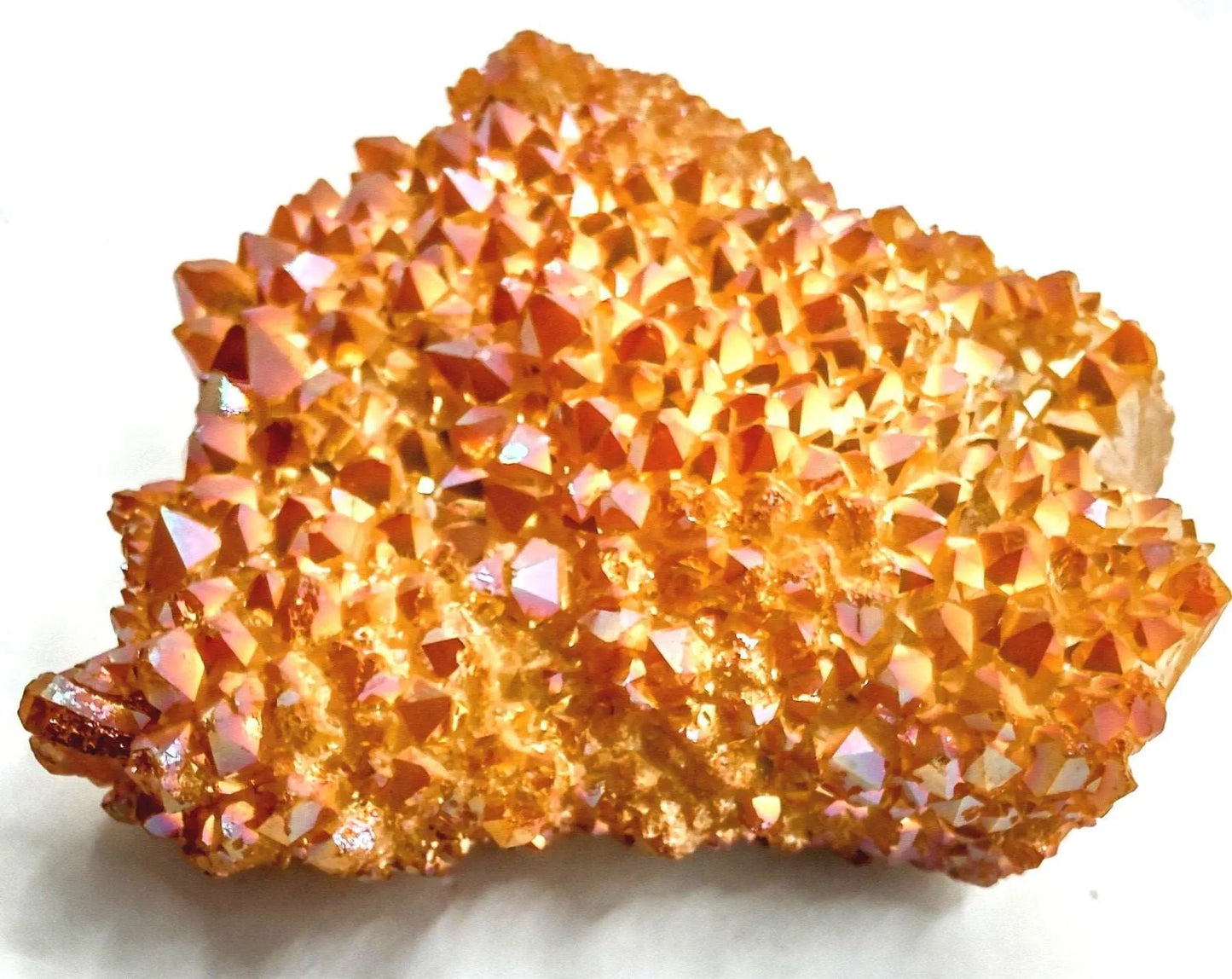 Cluster -Aura -Champagne -230g Cluster Aromes Evasions