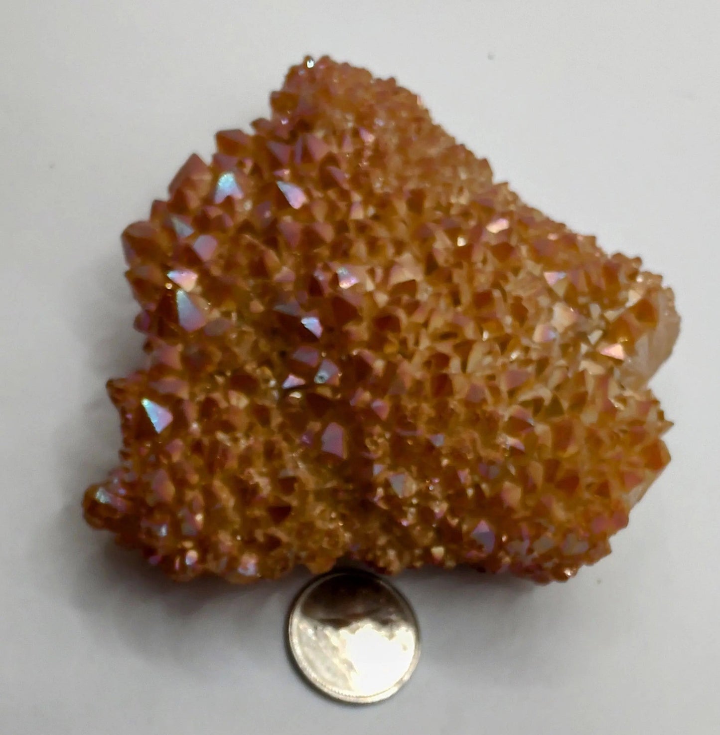 Cluster -Aura -Champagne -230g