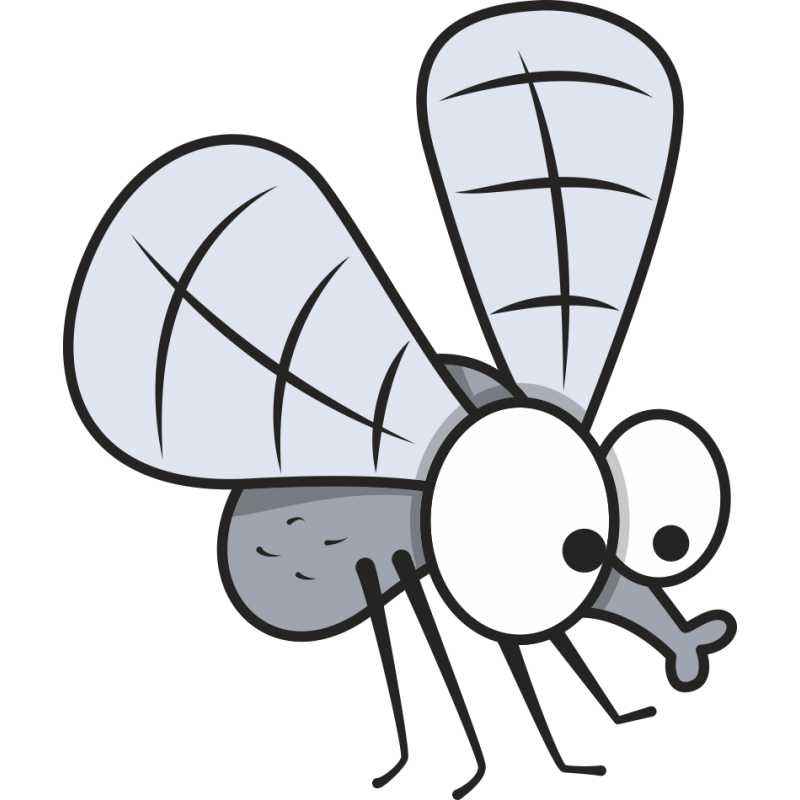 Essential Oil - Premium Collection - Bugs Fly Away - Cayve's Mystic Nature Wholesale