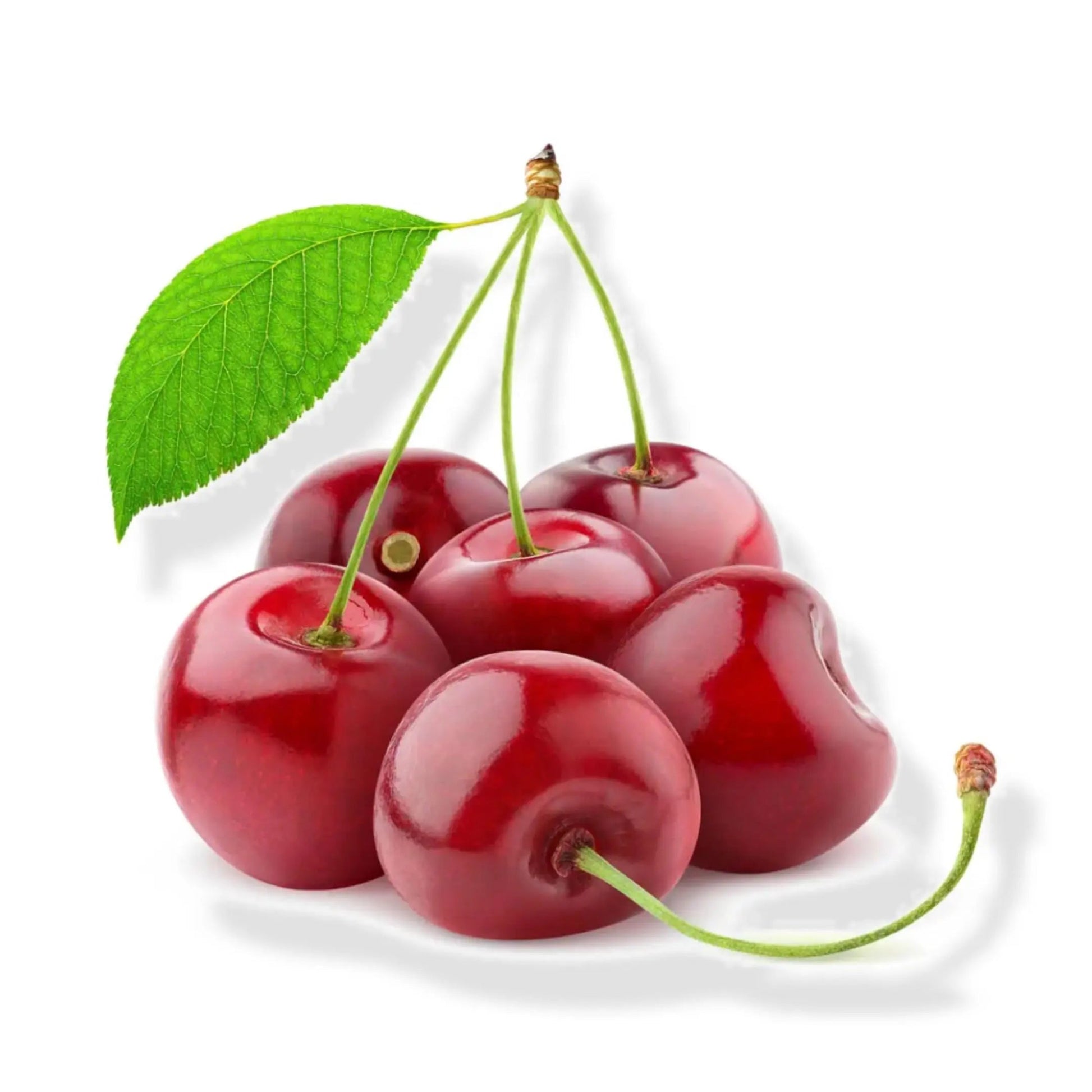 Essential Oil - Cherry (Prunus Cerasus)