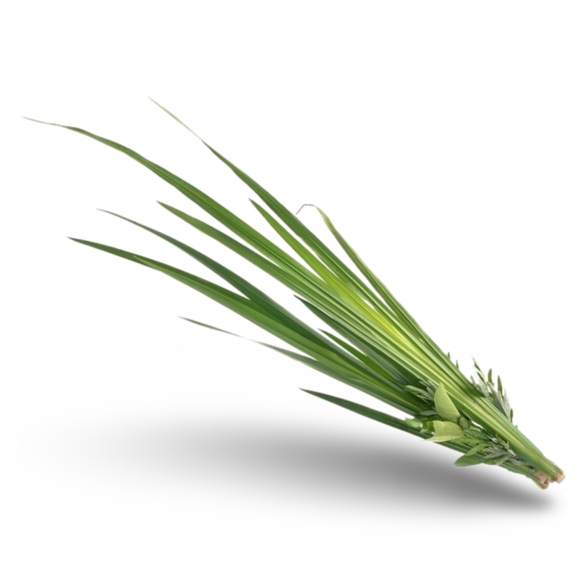 Essential Oil - Palmarosa (Cymbopogon Martinii Var Motia) 500 ml