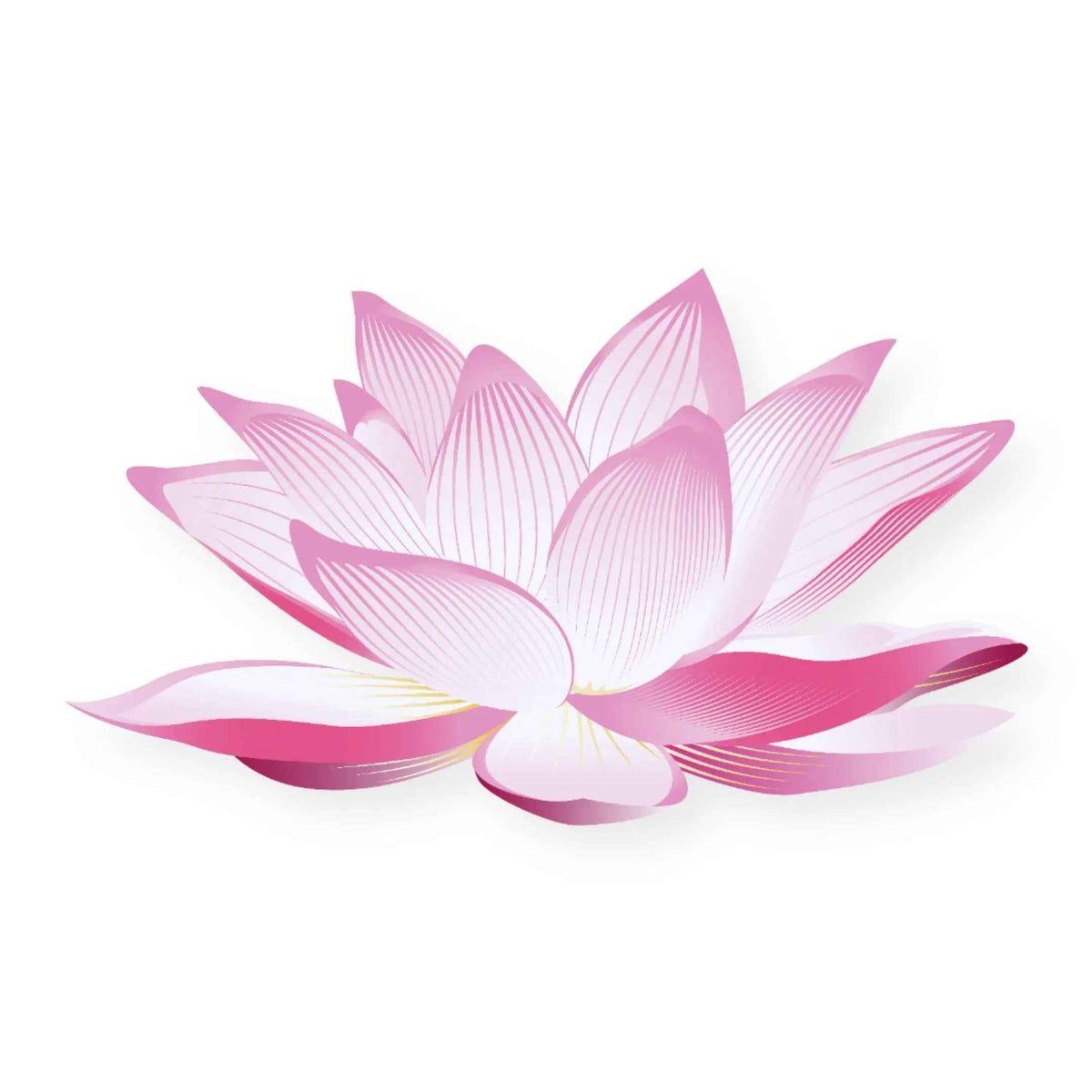 Essential Oil -Pink Lotus Absolute (Nelumbo Nucifera) - Cayve's Mystic Nature Wholesale
