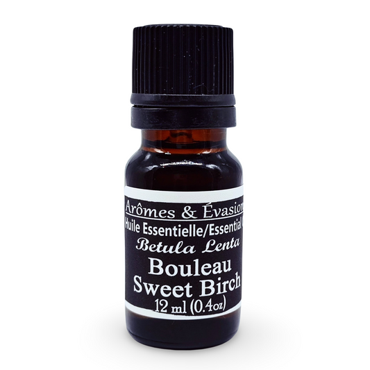 Essential Oil - Sweet Birch (Betula Lenta) 12 ml