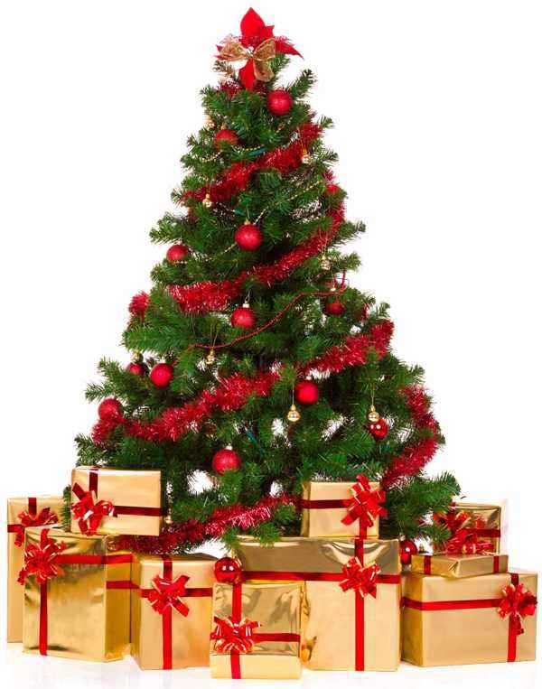 Fragrance Oil -Old Fashioned Christmas - Cayve's Mystic Nature Wholesale