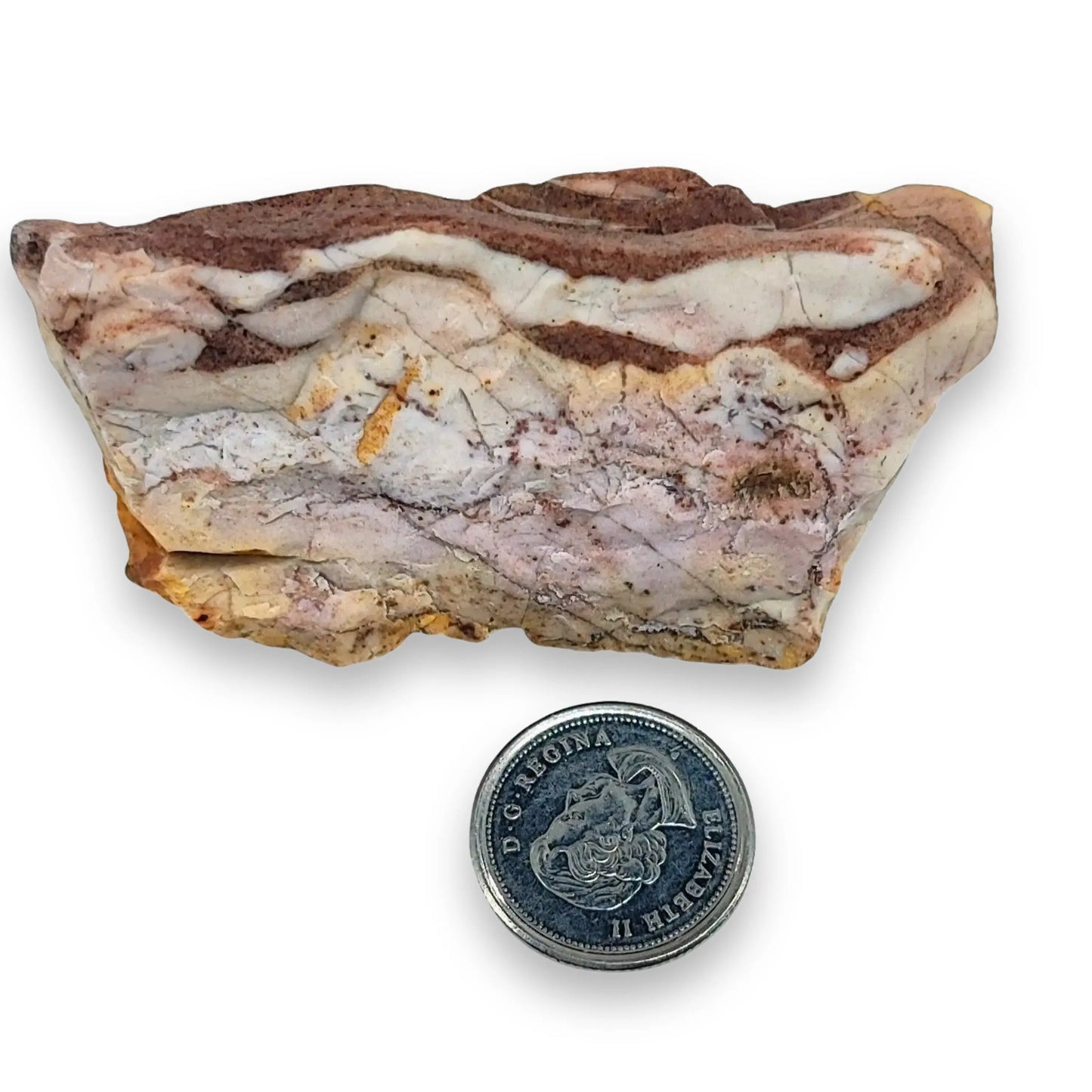 Geode -Jasper -Zebra -Brazil -Extra Large -Aromes Evasions