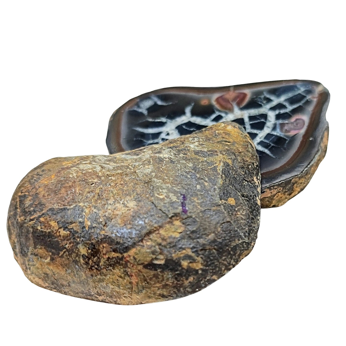 Pareja Grande de Septária - -Aromes Evasions