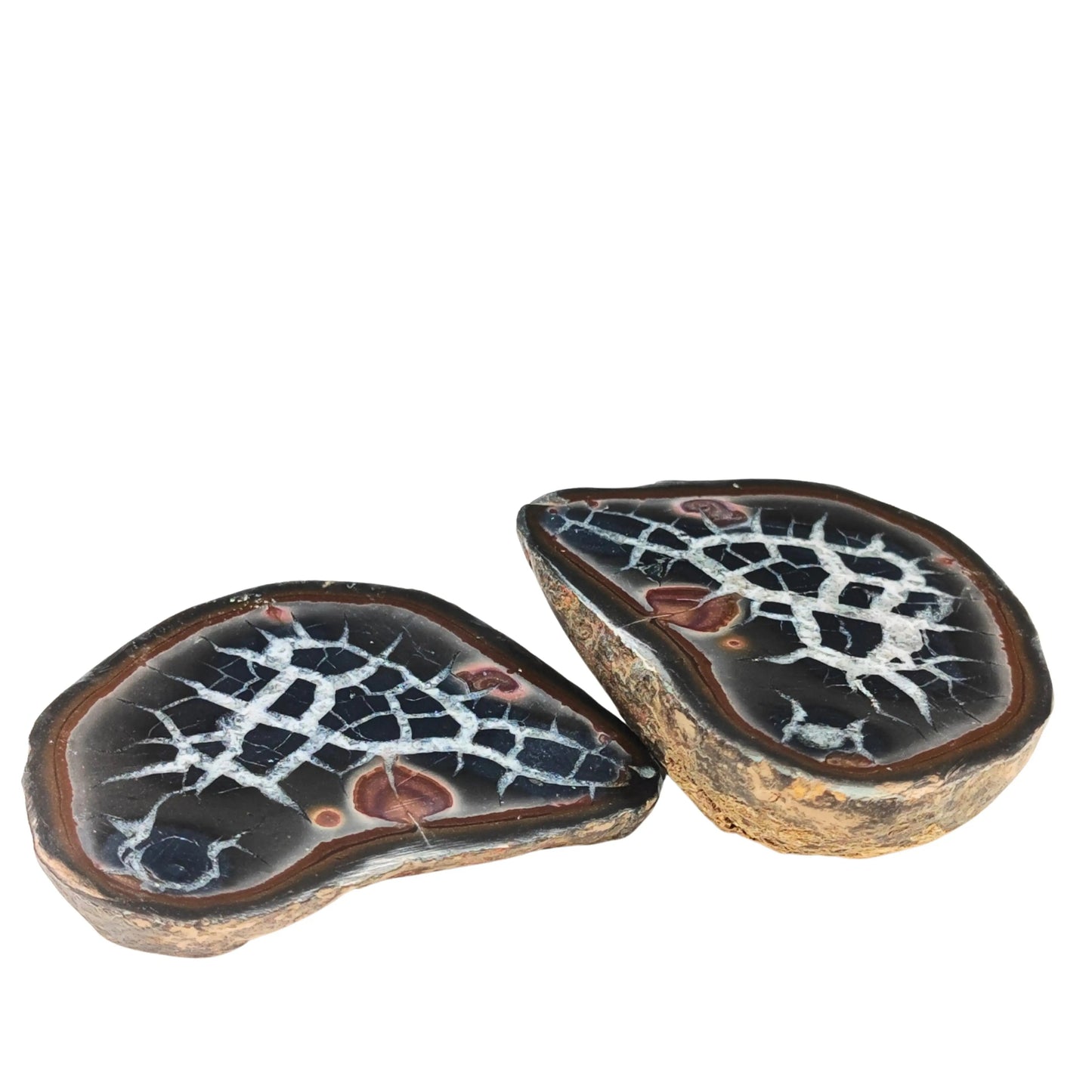 Pareja Grande de Septária - -Aromes Evasions