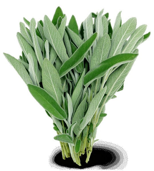 Incense -Backflow Cones -White Sage -8 Cones