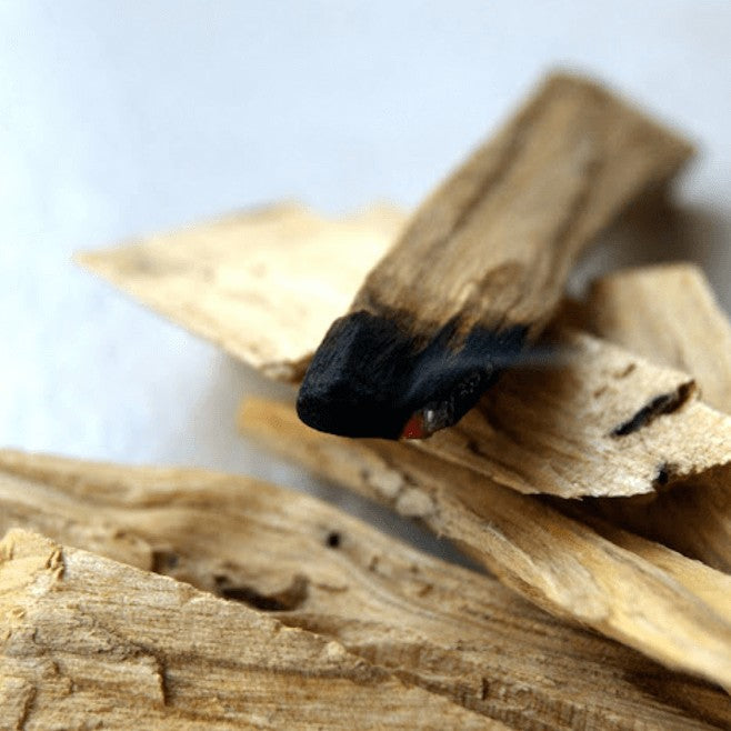 Incense -Backflow Cones -Palo Santo -8 Cones