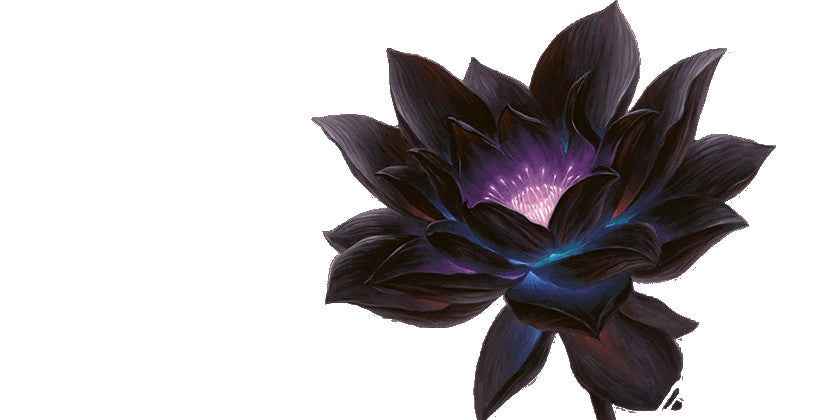 Incense Sticks - Black Magic - Pack of 10 - Cayve's Mystic Nature Wholesale