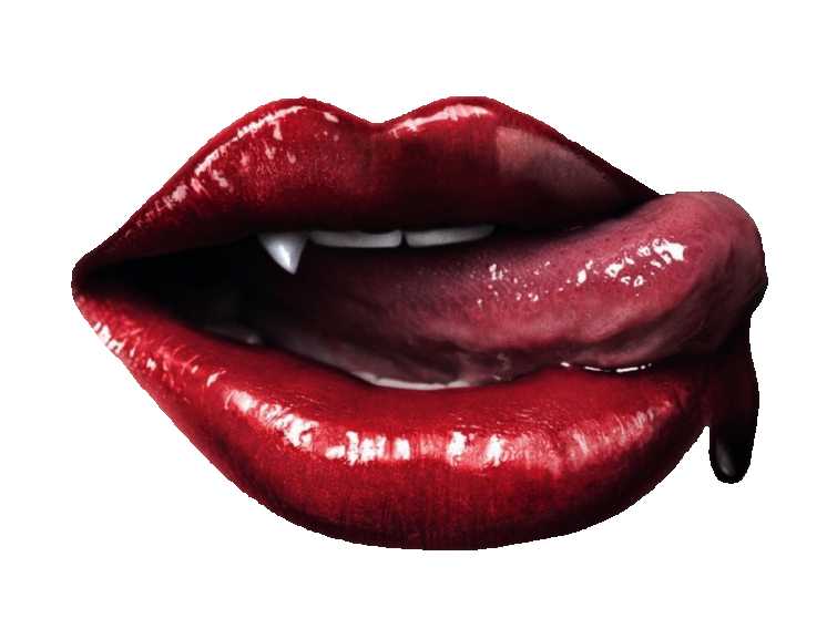 Nandita -Incense Box -Vampire Blood -40g