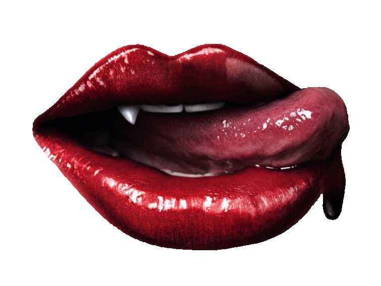 Nandita - Incense Box - Vampire Blood - 40g - Cayve's Mystic Nature Wholesale