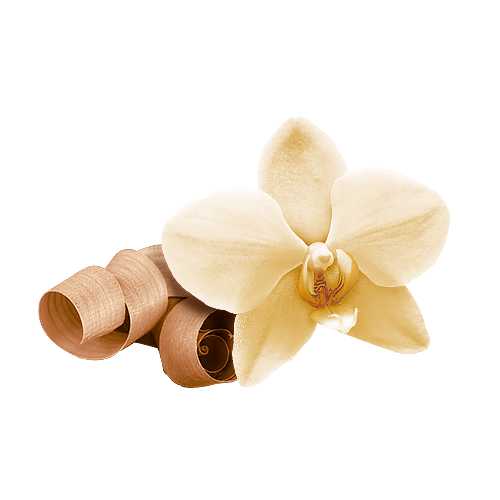 Incense Cones - Sandalwood - 10 Cones