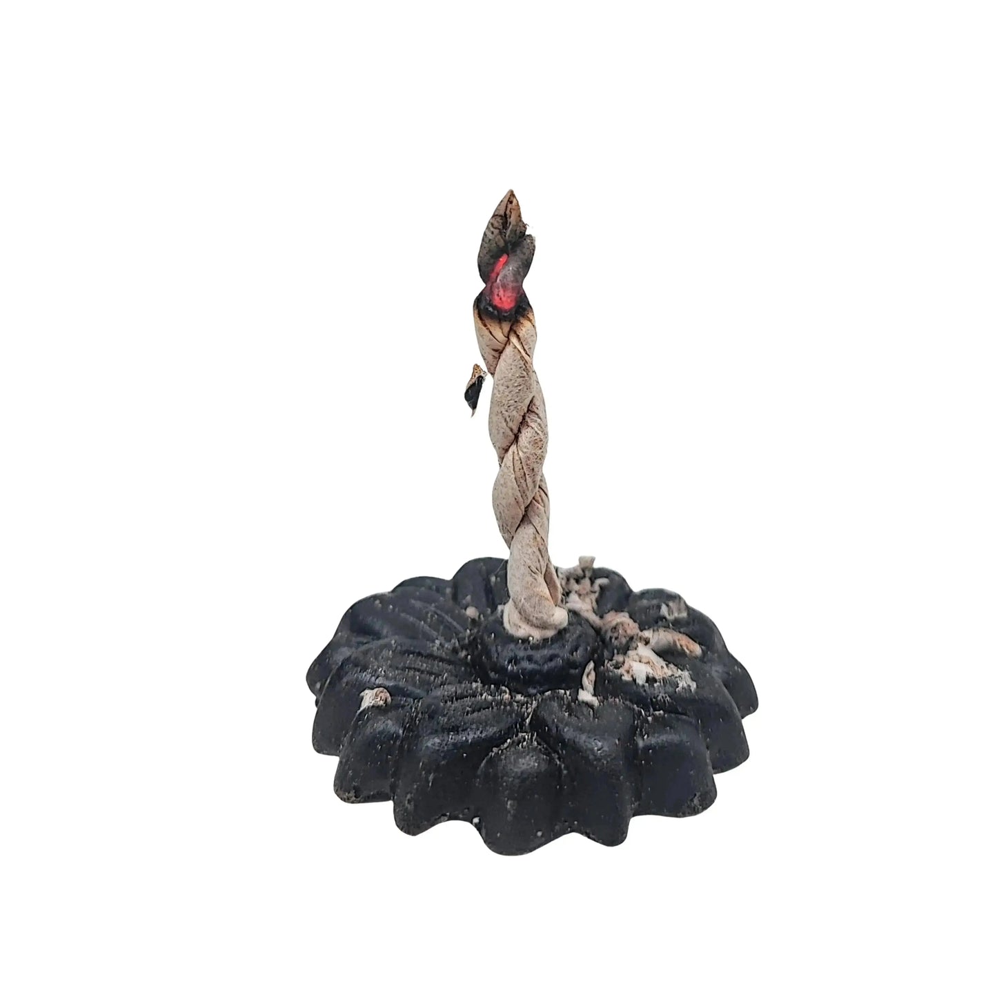 Incense Rope Kit -Medicine Buddha -Juniper -30 Ropes -Incense Rope Kit -Aromes Evasions