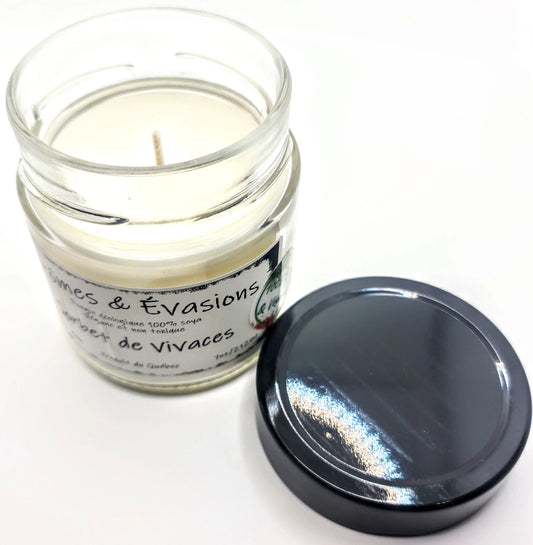 Soy Candle -Perennial Sorbet -7oz 7oz Aromes Evasions