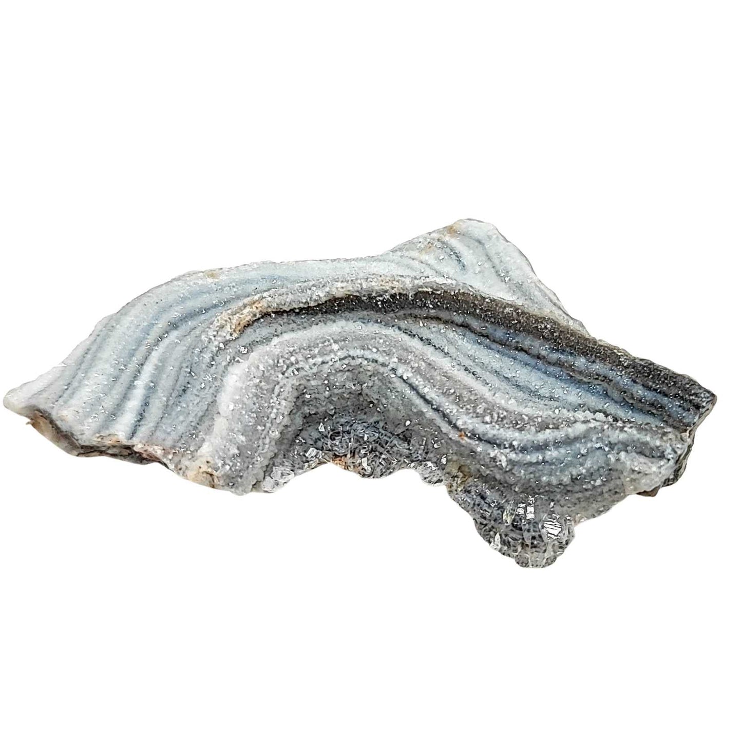 Stone - Agate Natural Druze - Shape Shell - Specimen