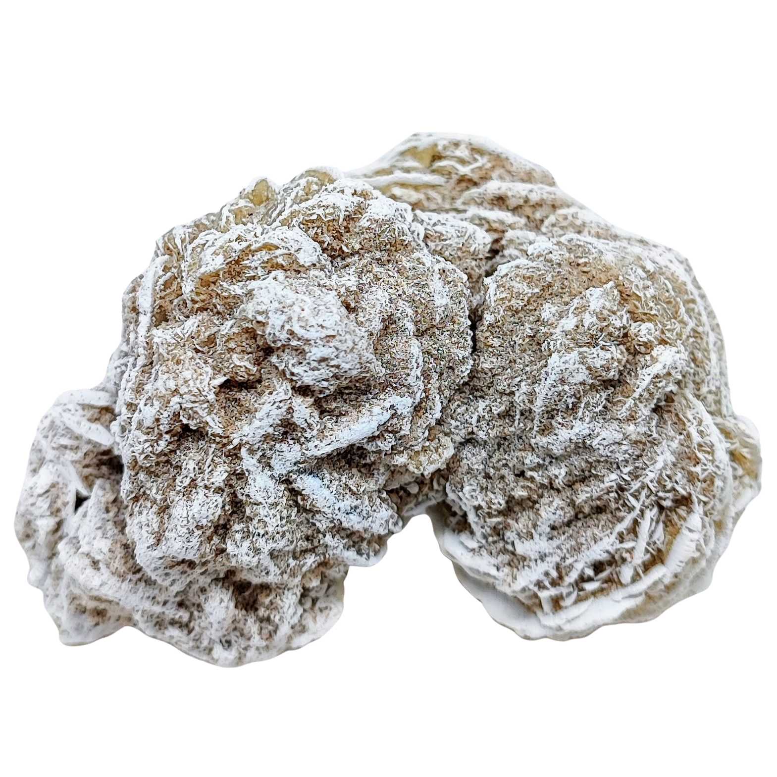 Stone -Desert Rose -Rough -Specimen -133g