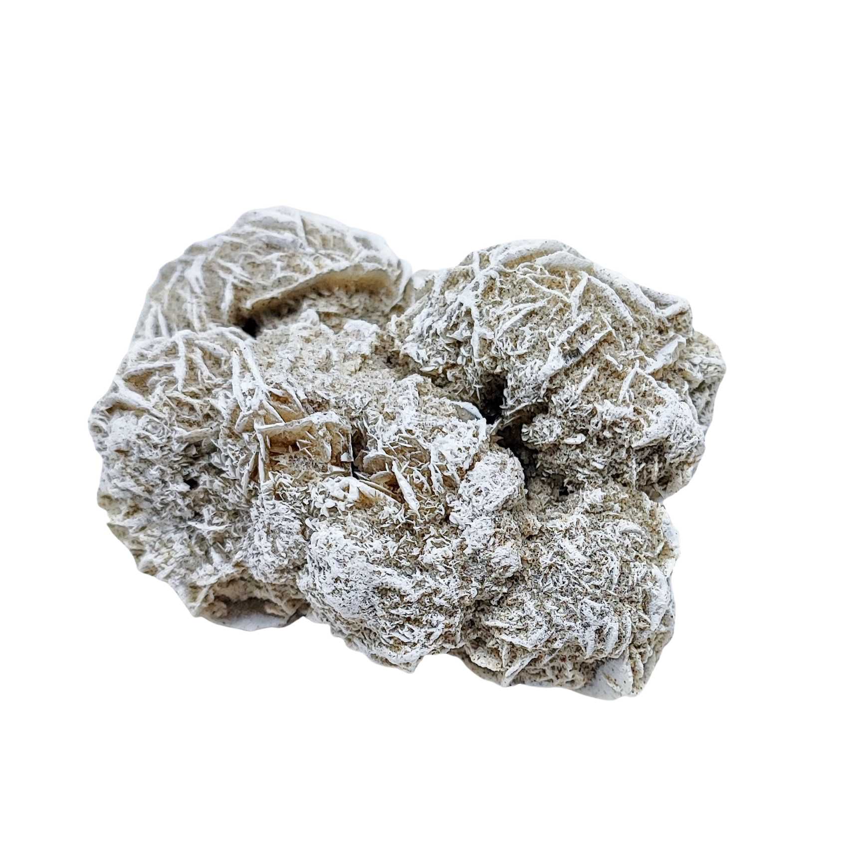 Stone -Desert Rose -Rough -Specimen -133g