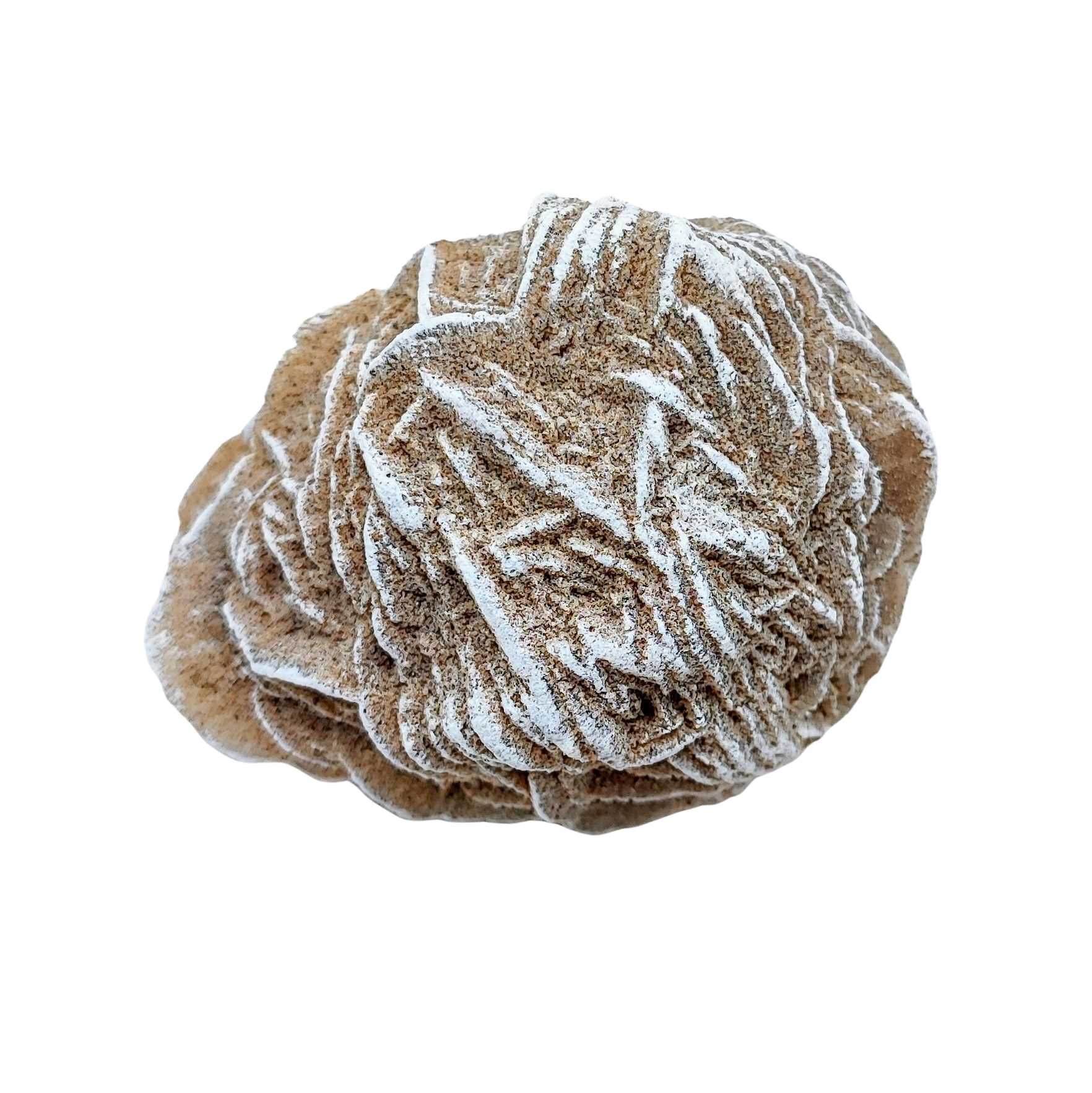 Stone -Desert Rose -Rough -Specimen -150g -Specimen -Aromes Evasions