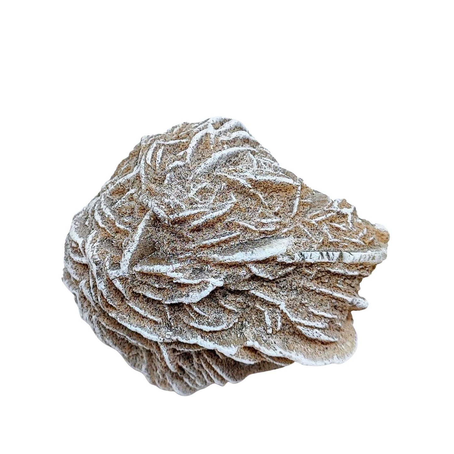 Stone -Desert Rose -Rough -Specimen -150g -Specimen -Aromes Evasions