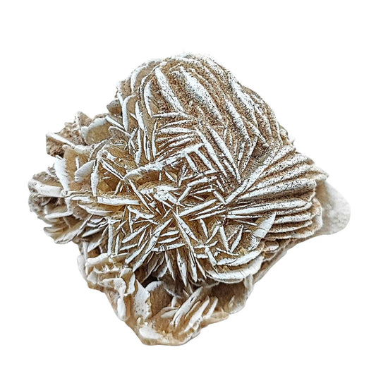 Stone -Desert Rose -Rough -Specimen -161g -Specimen -Aromes Evasions