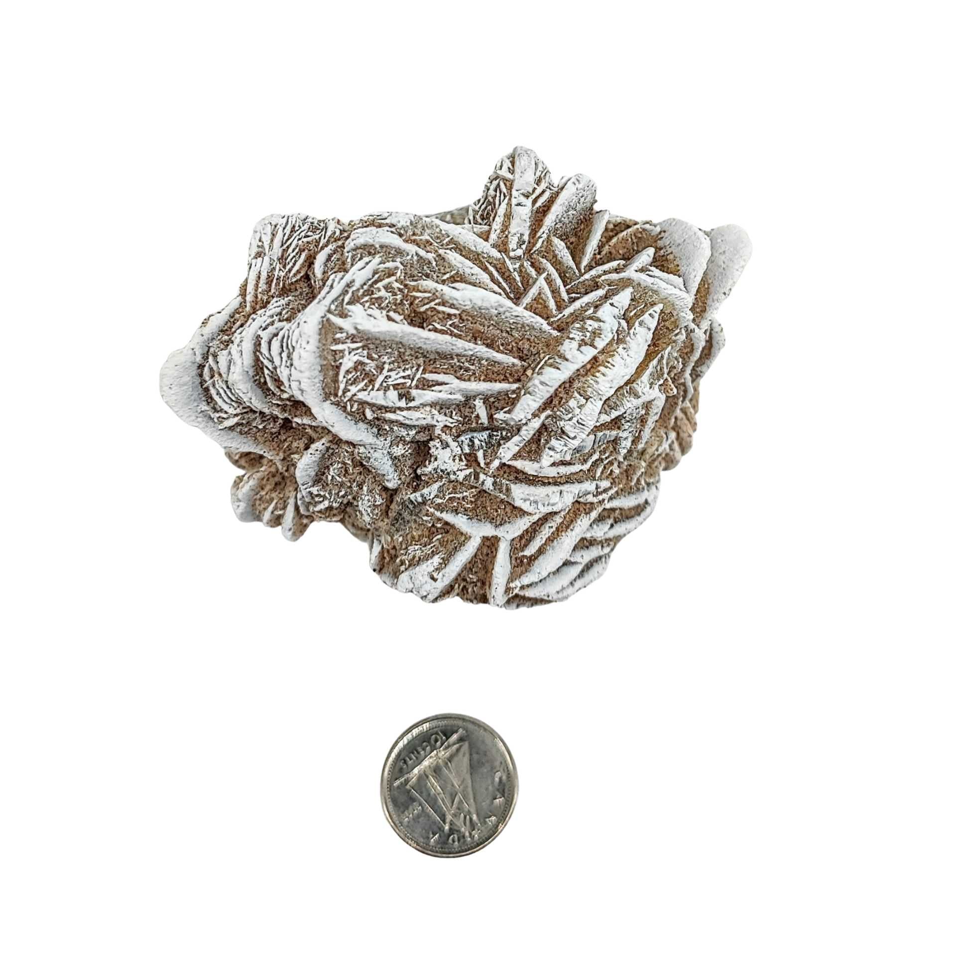 Stone -Desert Rose -Rough -Specimen -161g -Specimen -Aromes Evasions