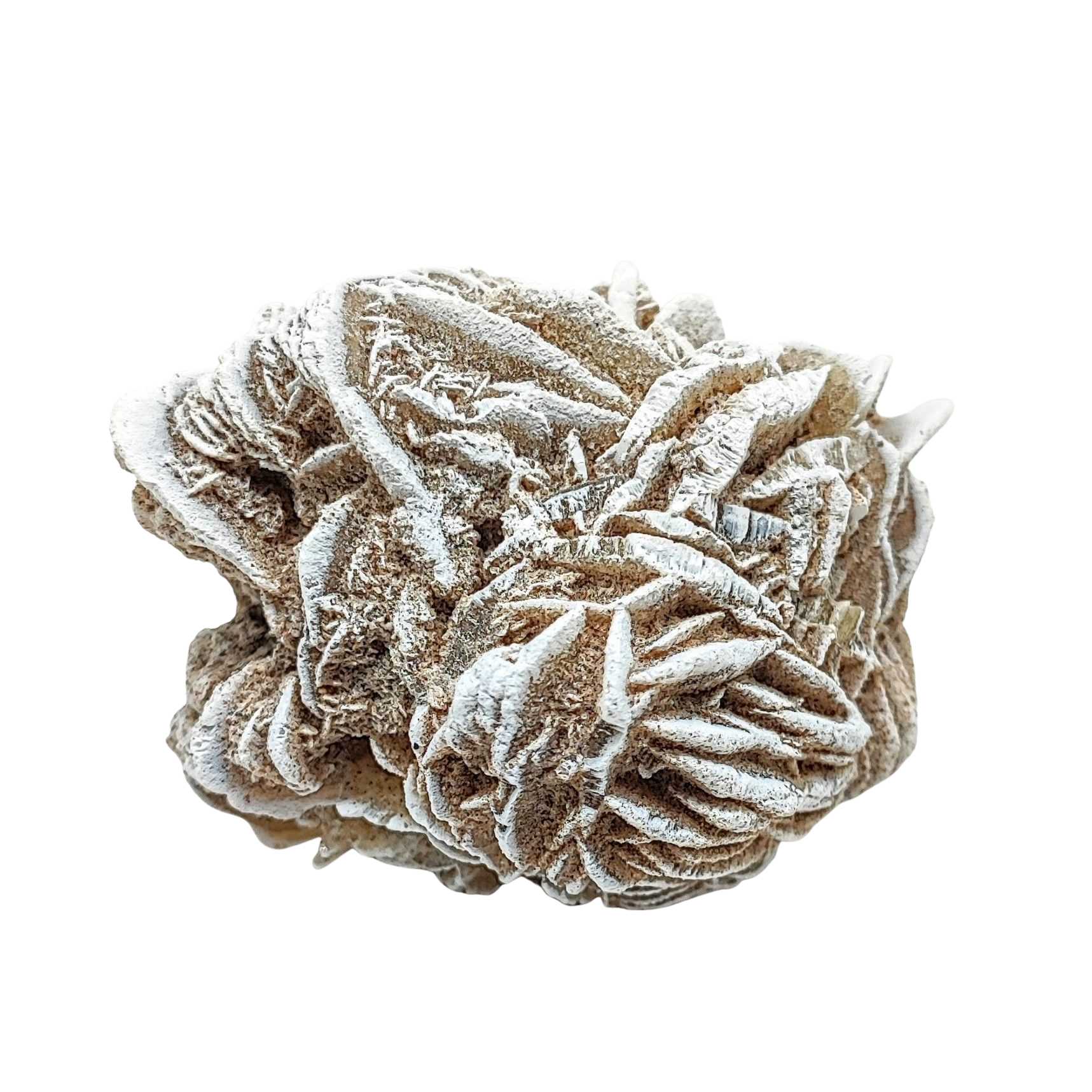 Stone -Desert Rose -Rough -Specimen -161g -Specimen -Aromes Evasions