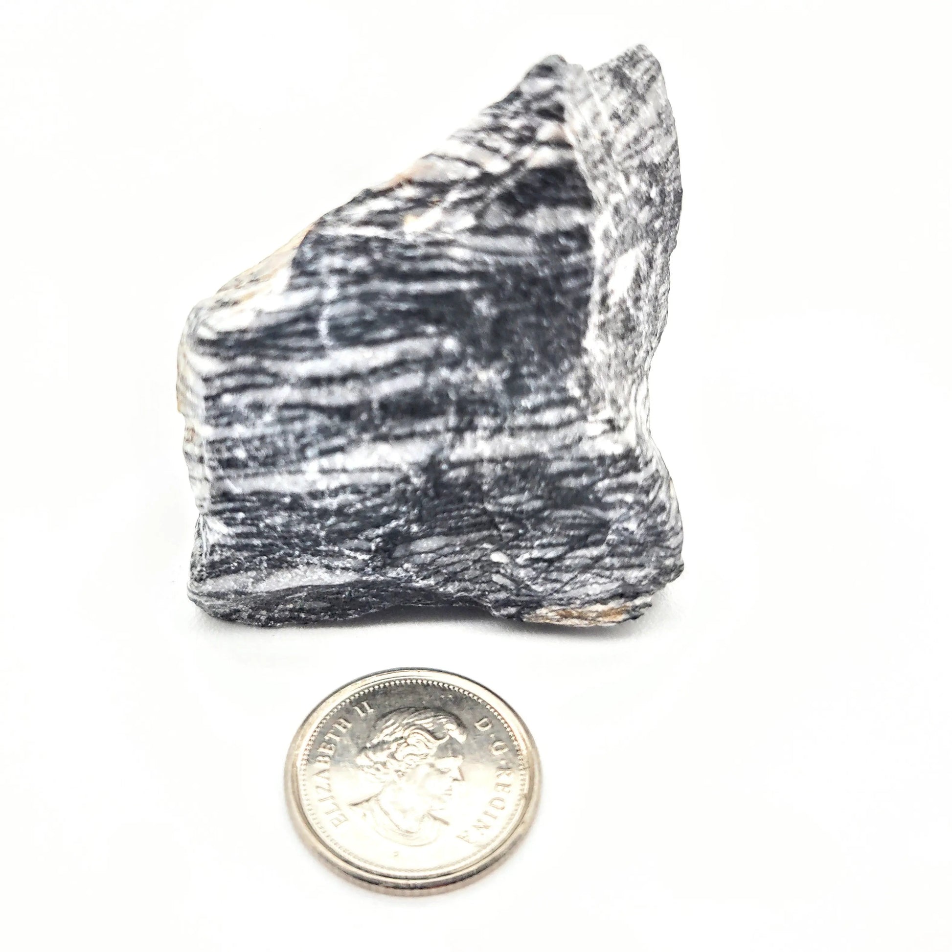 Stone -Jasper -Zebra -Rough