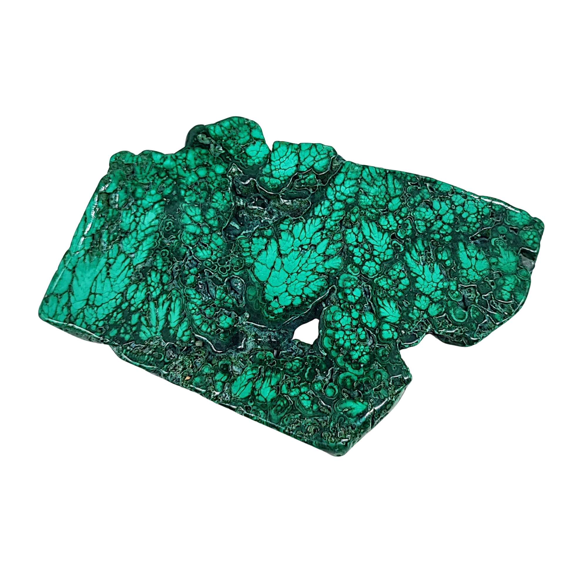 Stone -Malachite Slices -Tumbled -101g to 125g -Slices -Aromes Evasions