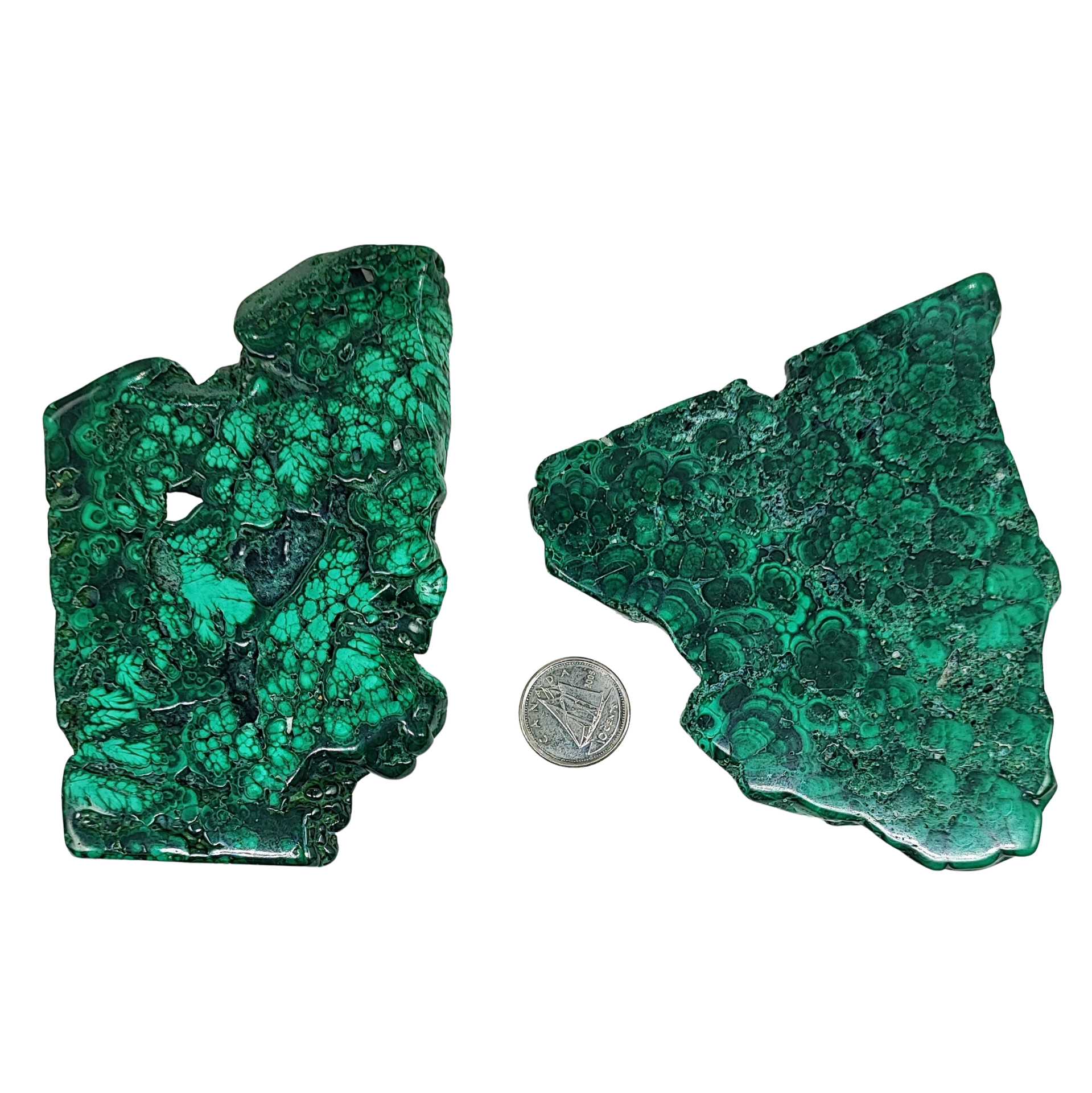 Stone -Malachite Slices -Tumbled -101g to 125g -Slices -Aromes Evasions