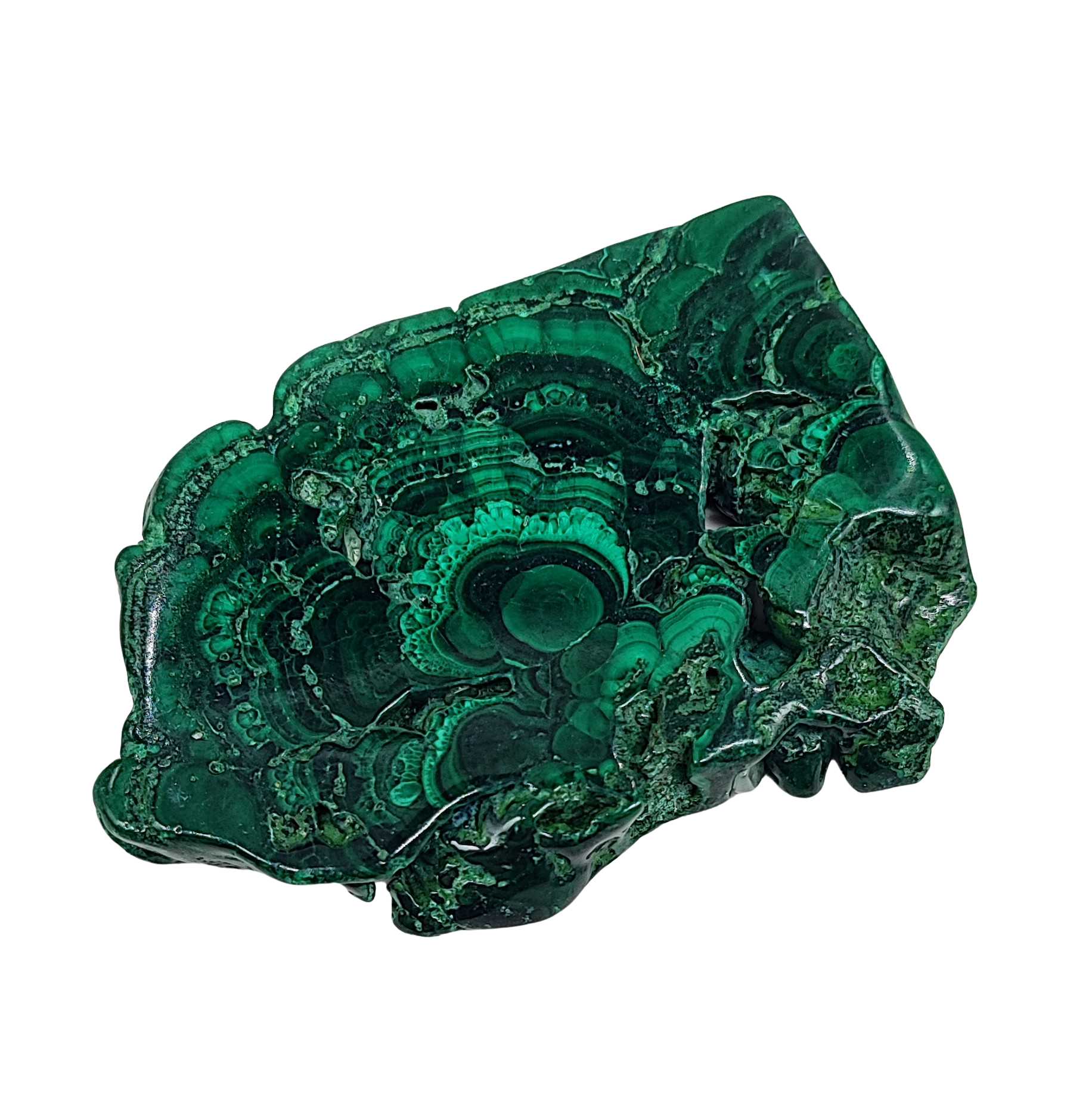 Stone -Malachite Slices -Tumbled -80g to 100g -Slices -Aromes Evasions