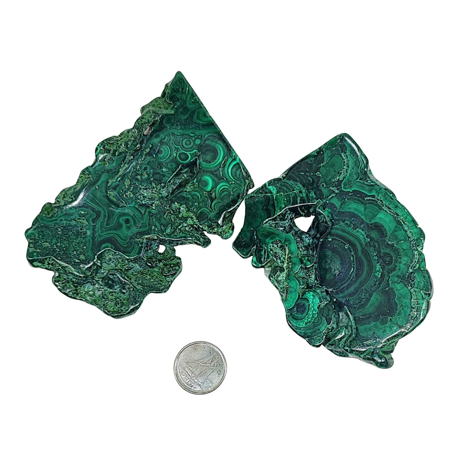 Stone -Malachite Slices -Tumbled -80g to 100g -Slices -Aromes Evasions