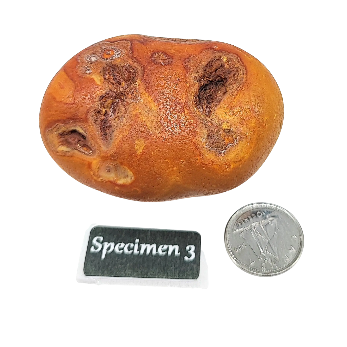 Stone -Natural Palm Agate -Rough -Rough -Aromes Evasions