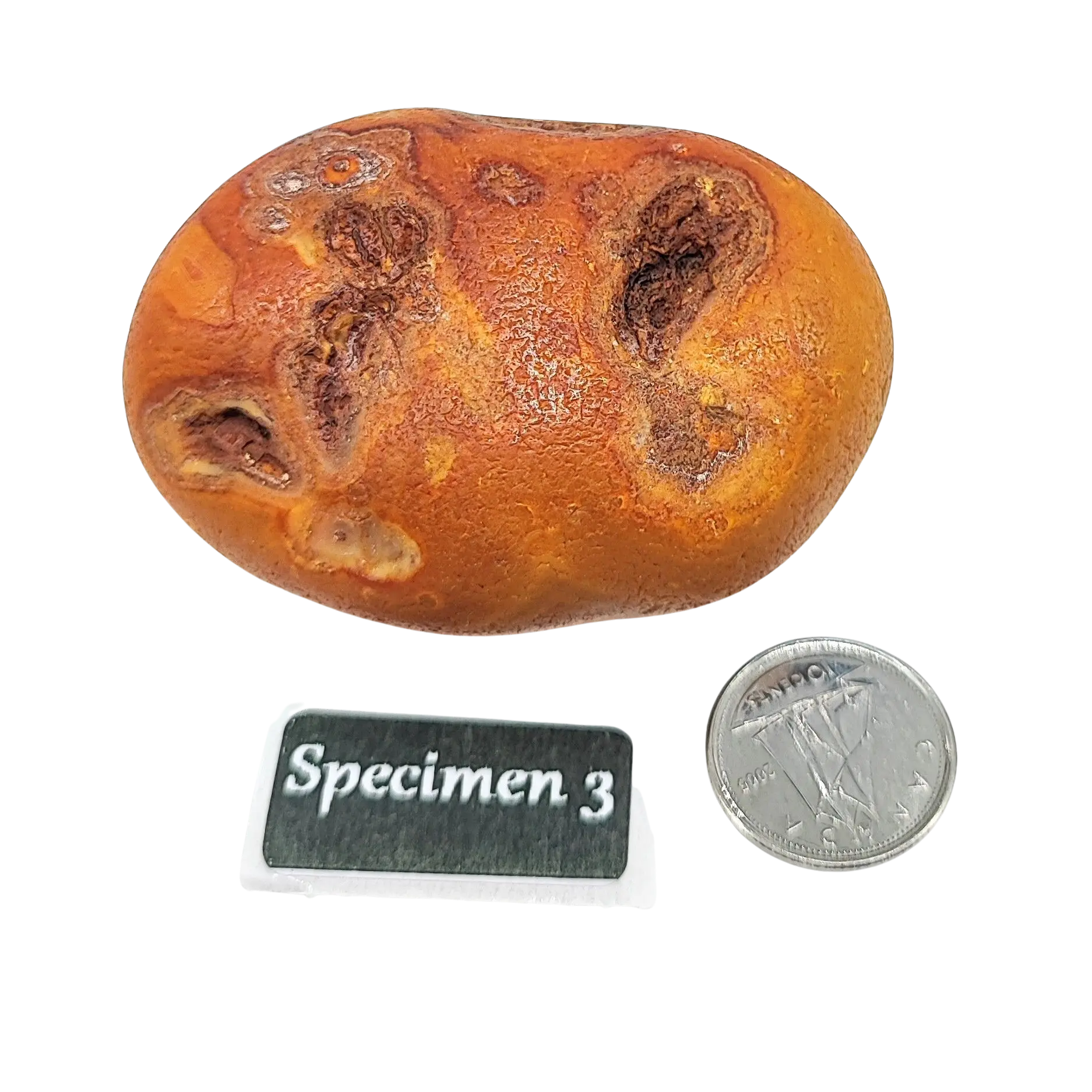 Stone -Natural Palm Agate -Rough -Rough -Aromes Evasions